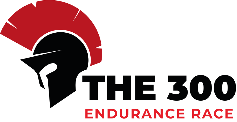 Logo for The 300 endurance race